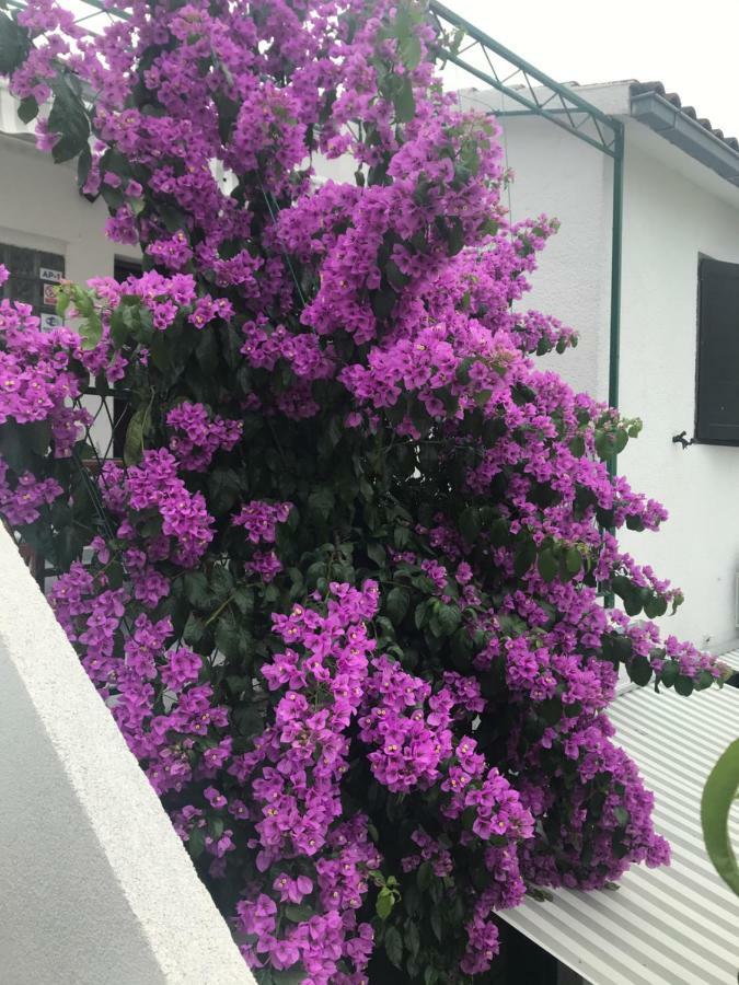 Sara Apartments Baška Voda المظهر الخارجي الصورة