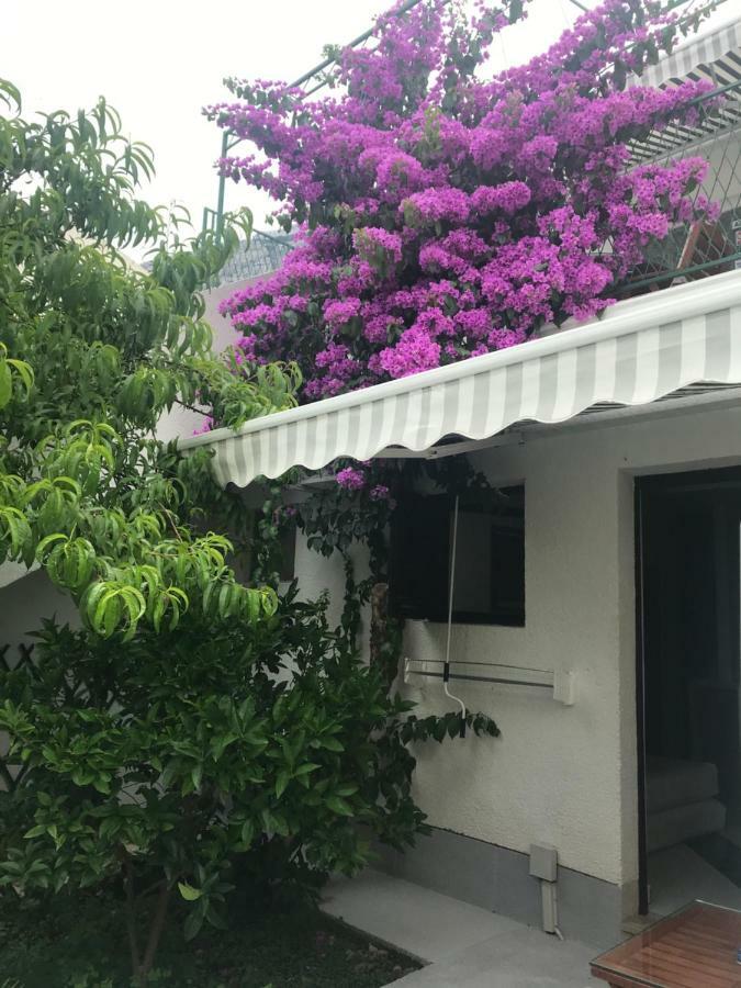 Sara Apartments Baška Voda المظهر الخارجي الصورة
